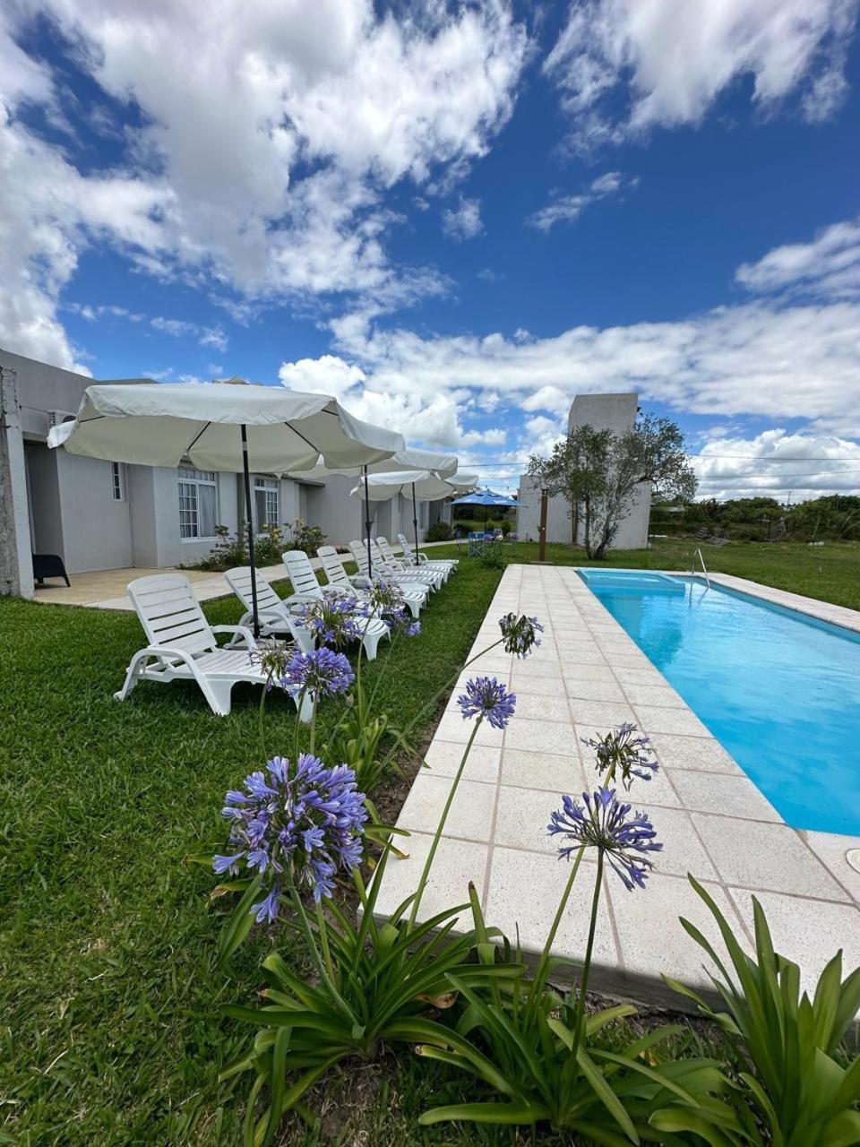Olivos Apartment Federacion